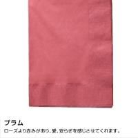 ¤LUC-28 Ҥ顼ʥץ 450450mm 2PLY 8 ƥƥ顼 ץࡡ2000ۡ504014,234(ǹ)