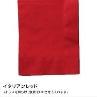 ¤LUC-28 Ҥ顼ʥץ 450450mm 2PLY 8 ǥץ顼 ꥢåɡ2000ۡ504014,234(ǹ)