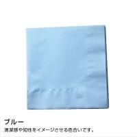 ¤SC-24 顼ʥץ 250250mm 2PLY 4 쥮顼顼 ֥롼3000ۡ506013,959(ǹ)
