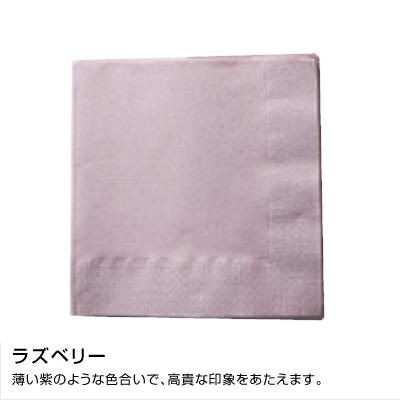 SC-24 顼ʥץ 250250mm 2PLY 4 ƥƥ顼 饺٥꡼3000ۡ5060 13,959(ǹ)
