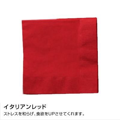 SC-24 顼ʥץ 250250mm 2PLY 4 ǥץ顼 ꥢåɡ3000ۡ5060 13,959(ǹ)