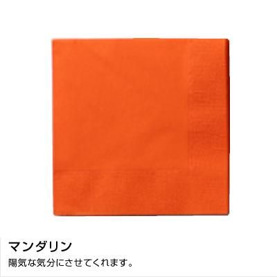 SC-24 顼ʥץ 250250mm 2PLY 4 ǥץ顼 ޥ󡡡3000ۡ5060 13,959(ǹ)