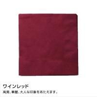 ¤SC-24 顼ʥץ 250250mm 2PLY 4 ǥץ顼 磻åɡ3000ۡ506013,959(ǹ)