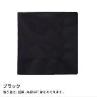 ¤SC-24 顼ʥץ 250250mm 2PLY 4 ǥץ顼 ֥å3000ۡ506013,959(ǹ)