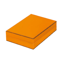 ¤եȥܥå DG66  #241810011,110(ǹ)