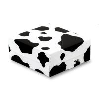 ¤ӥȢ åBOX 65 ⡼⡼ 1602008,558(ǹ)
