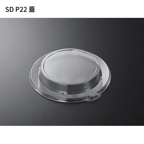 SDstyle P22 800 16,368(ǹ)
