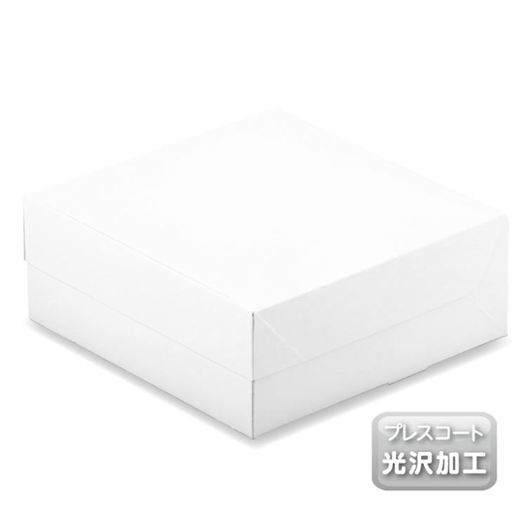 ӥȢ åBOX 65 ץ쥹 140200 7,304(ǹ)