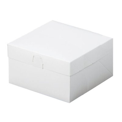 ӥȢ åBOX 120 ץ쥹 160100 6,809(ǹ)