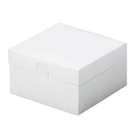 ¤ӥȢ åBOX 120 ץ쥹 2121009,889(ǹ)