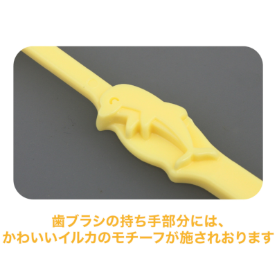 Ҷѻ֥饷å åե 16 250 5,775(ǹ)