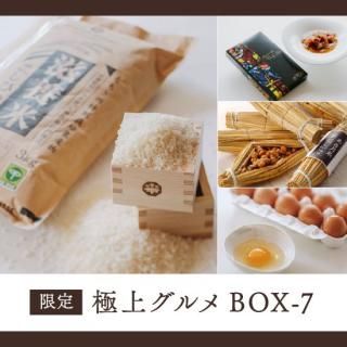 ڶ˾奰BOX-7ۼƥҥ٤뿩ʥåȡ