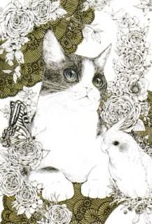 ں߸˸¤maooݥȥ 48petit prince