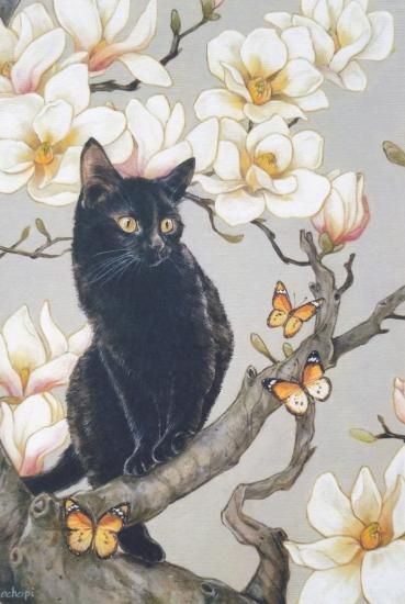 蓮の花　猫　５個セット 蓮の花猫5個セット