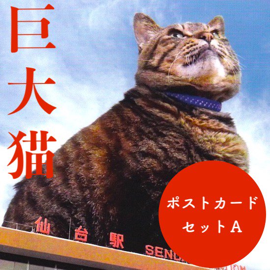 仙台ねこ巡りポストカードセットa 猫専門またたび堂 通販サイト