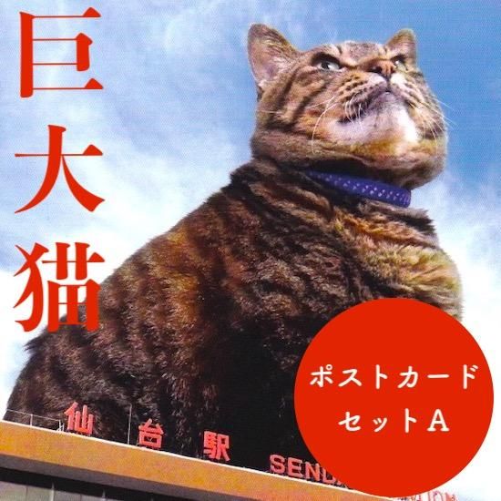 仙台ねこ巡りポストカードセットa 猫専門またたび堂 通販サイト