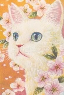 Ȥ椺  ݥȥɡֽդξ