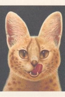 Ȥ椺  ݥȥɡ~~