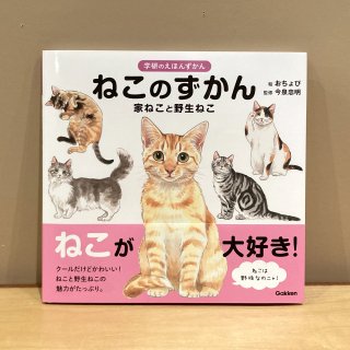 おちょぴ ポストカード「黄色い牡丹と富士額猫」 - 猫専門またたび堂 