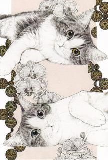 maooݥȥɡ֤ҤȤȤ