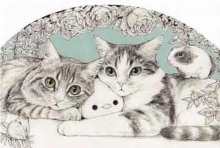 maooݥȥɡ֤錄ʤ