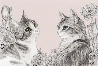 maooݥȥɡspring