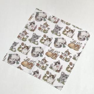 maooޥ꡼ʡ ۥ磻