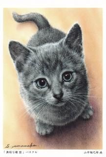 ǷϺݥȥɡ̵ƷIII