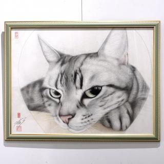 <img class='new_mark_img1' src='https://img.shop-pro.jp/img/new/icons5.gif' style='border:none;display:inline;margin:0px;padding:0px;width:auto;' />ⶶͺ֤ޤ󡡤ۤŤĤ