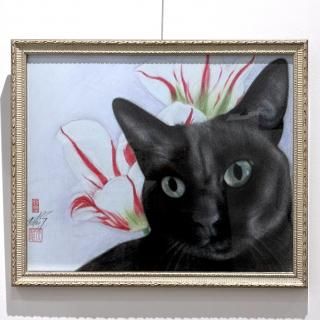 <img class='new_mark_img1' src='https://img.shop-pro.jp/img/new/icons5.gif' style='border:none;display:inline;margin:0px;padding:0px;width:auto;' />ⶶͺ֥㥤Ȥȥ塼åס