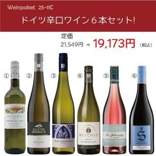 ɥĿɸ磻6ܥåȤξʲ