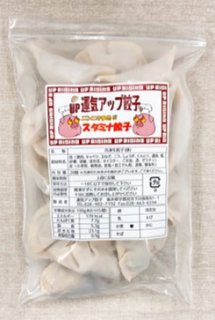 【限定】にんにくマシマシ!スタミナ餃子(20個入)◆冷凍餃子◆　運気アップ餃子　宇都宮