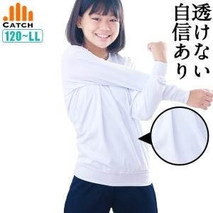 Ʃˤ롼ͥåĹµ