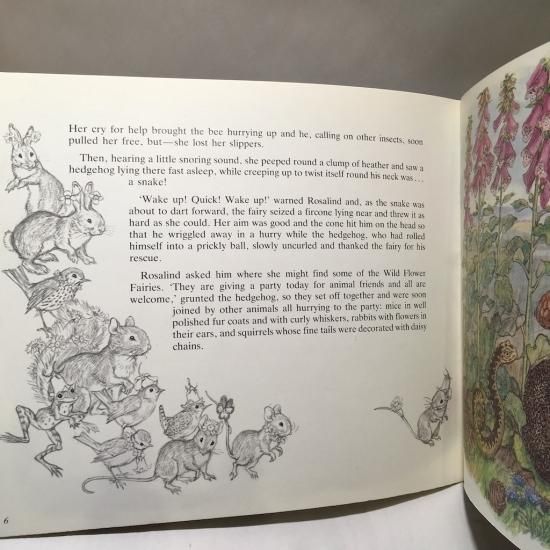 The Runaway Fairy - 絵本・児童書・古雑誌 のらねこ古書店