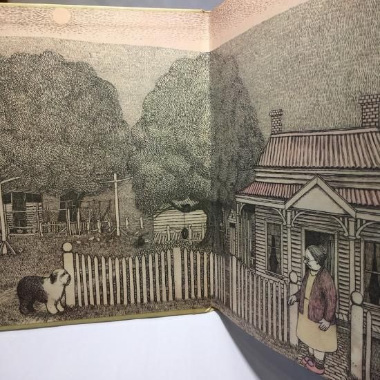 OSKAR und die Mitternachtskatze - 絵本・児童書・古雑誌 のら