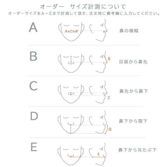 オーダーマスク】Pittarich Cleverロゴ 交換フィルター10枚入り