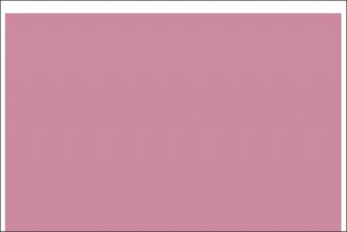 単色転写紙 『ローズルノワール(単色 ピンク)』 A3