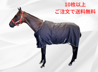 11ͽꤴͽ<br>󥢥<br>10ʾΤʸϤ餫<img class='new_mark_img2' src='https://img.shop-pro.jp/img/new/icons61.gif' style='border:none;display:inline;margin:0px;padding:0px;width:auto;' />