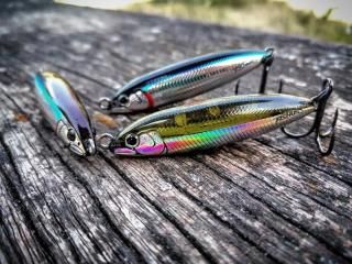 Fishus - 八雲LBG GTアイスクリーム屋 Fishus - 八雲LBG GTアイスクリーム屋