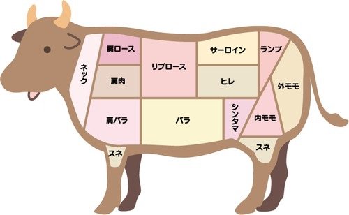 牛肉（主要部位一覧）