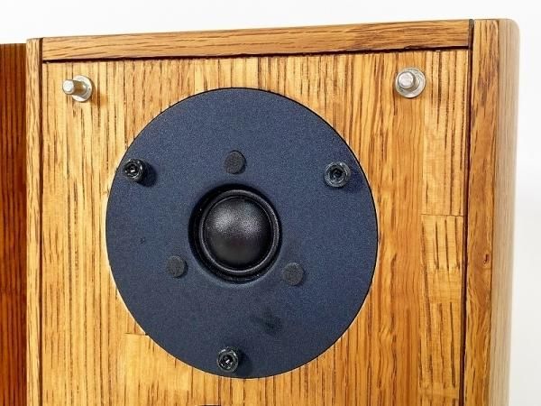 Pioneer S-A4SPT-VP 2ホン ミセ | legaleagle.co.nz