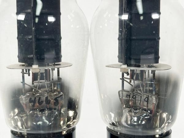 350A Western Electric 真空管 (64) 350A Western Electric 真空管 (64)