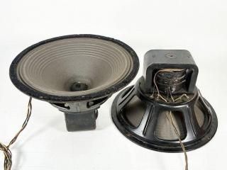 Jensen A-12 30cm 弧 2 [36066]