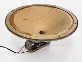 ᡼ ե󥸥˥å 1 [36469]