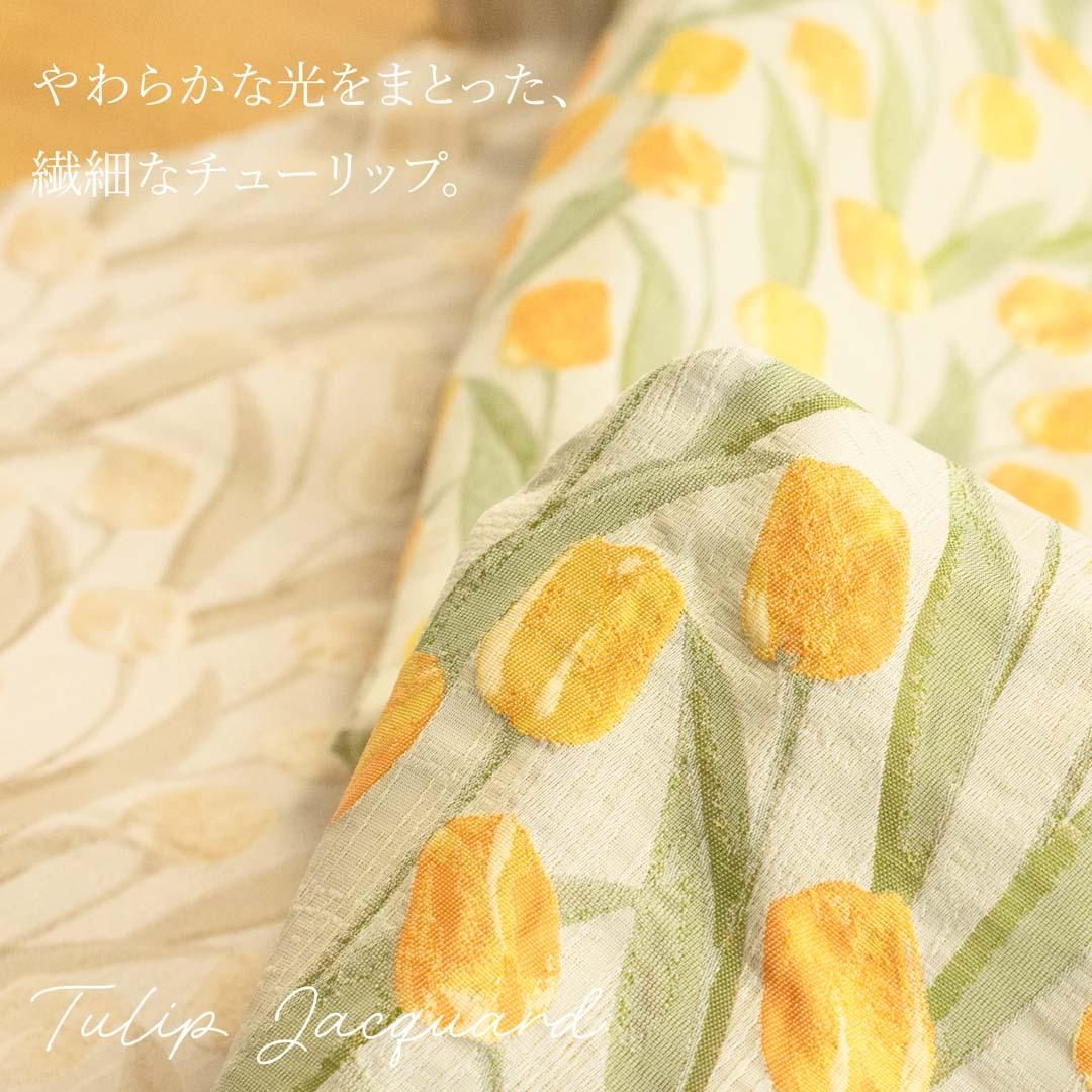 tulip_jqd