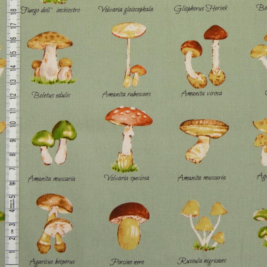 Cotton Mushroom Party マッシュルームパーティー キノコ柄 コットンオックス キジキジ