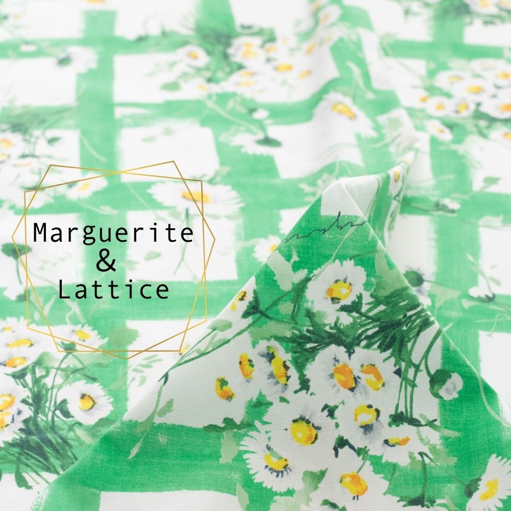  [ åȥ󥷥㡼ƥ ] ޡåȡƥcotton shirtingMarguerite  latticeåɥ꡼8044-3