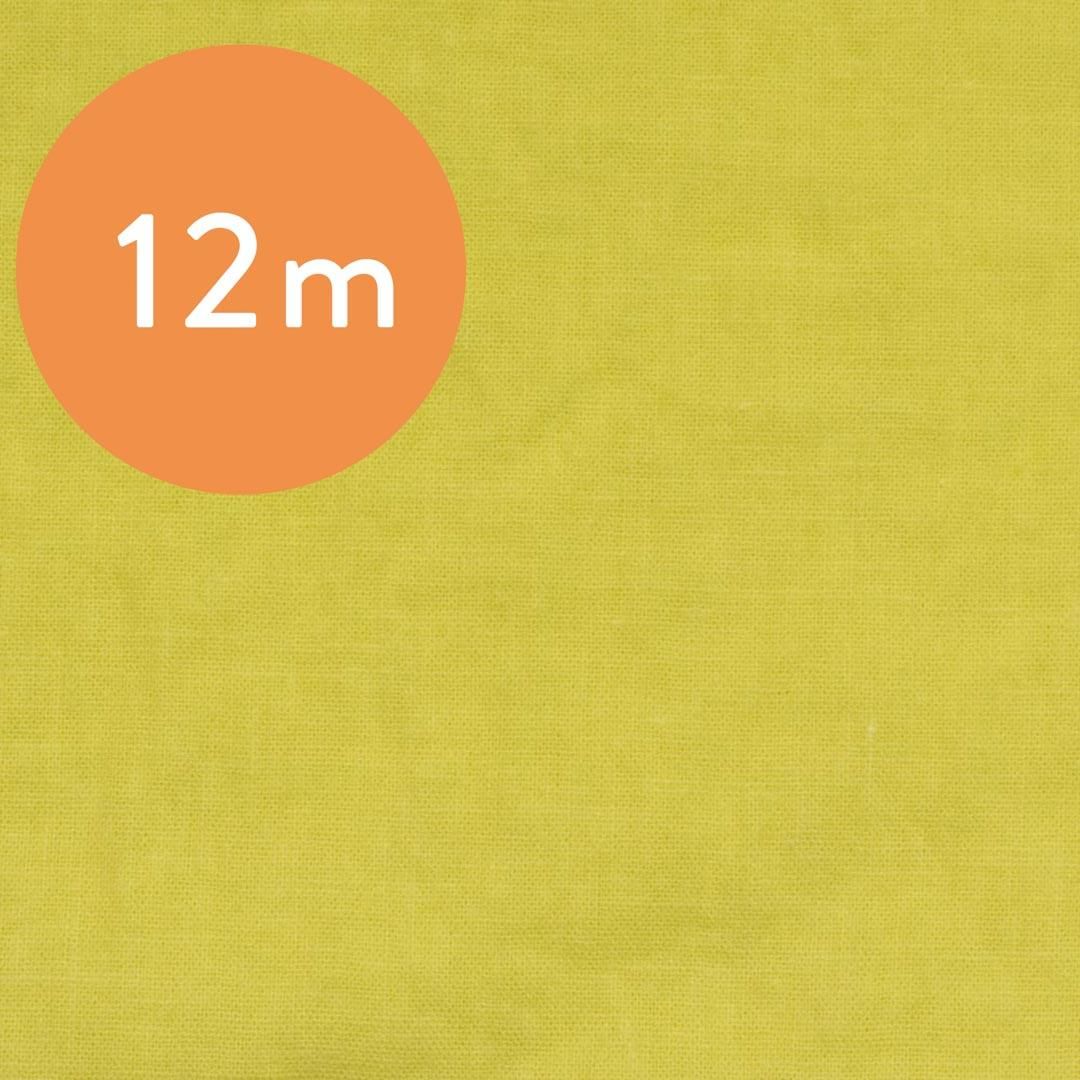 キツ　25 ＋16 斑入　同時梱包割引　黄斑　イエローマリリン 約5ヶ月ぶりにイエローマリリンに新しい斑入りの葉が開く - 私の