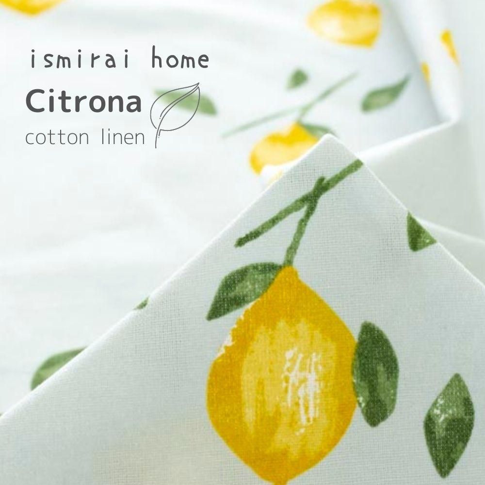 [ åȥͥ󥭥Х ] ismirai home ȥʡ Citrona8104-2 ֥롼