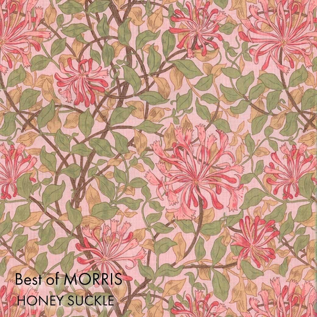 [  ] moda BEST OF MORRIS | HONEY SUCKLE | MODAҡåϥˡå6186-HS-3 ԥ